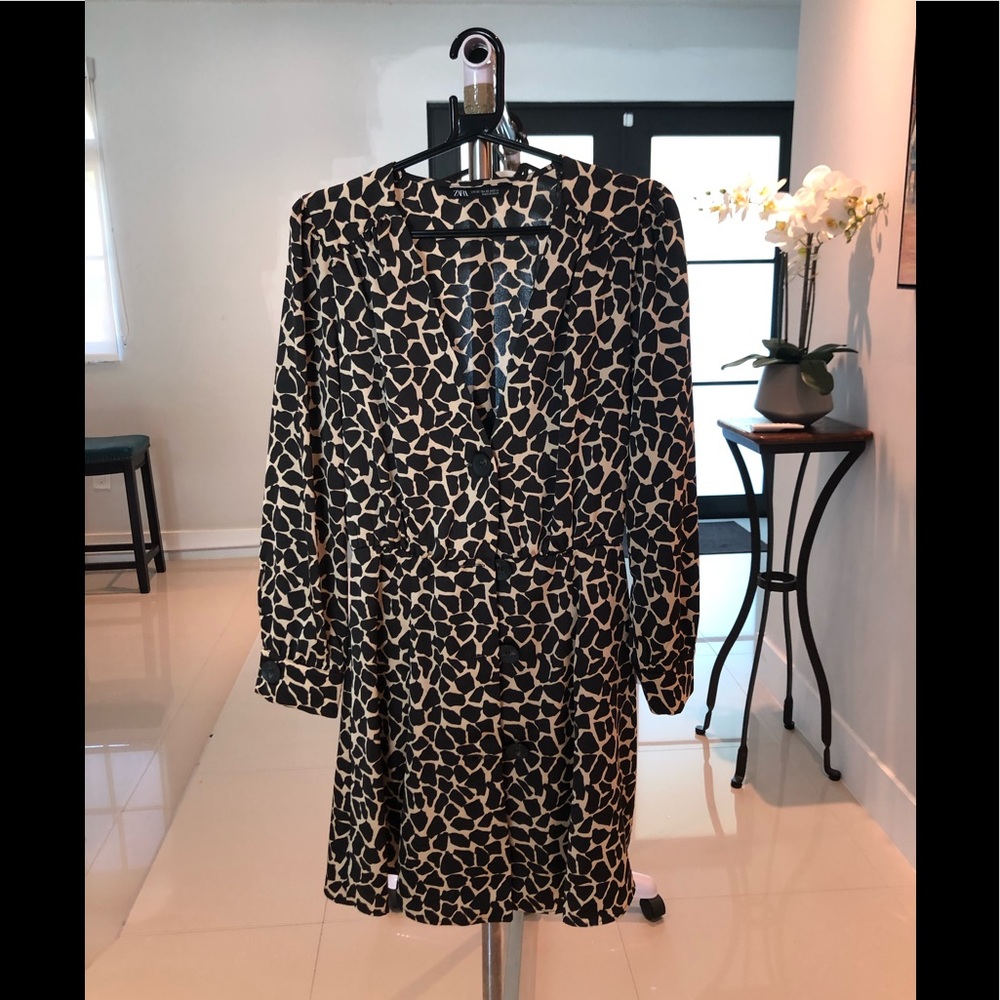 Animal Print Zara Dress